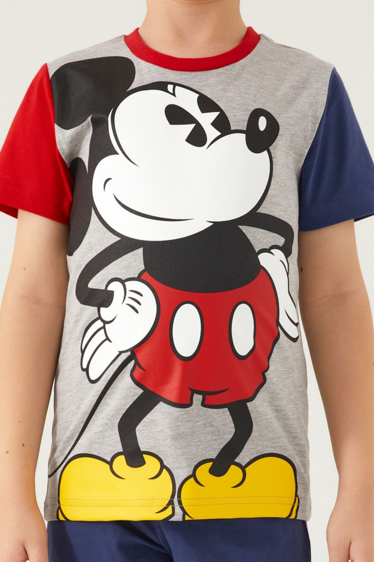 3-9 Yaş Lisanslı Mickey Mouse Erkek Çocuk Takım -Gri