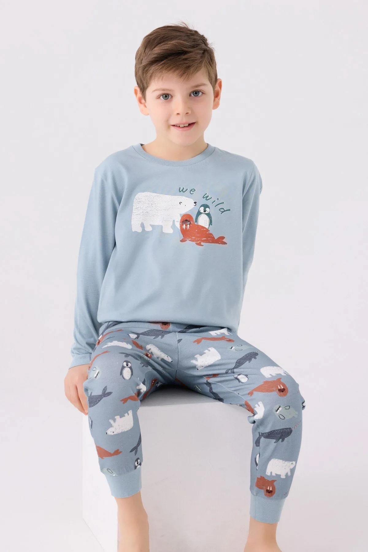 2-8 Yaş We Wild Penguen Erkek Çocuk Erkek Çocuk Takım-Bebe Mavisi