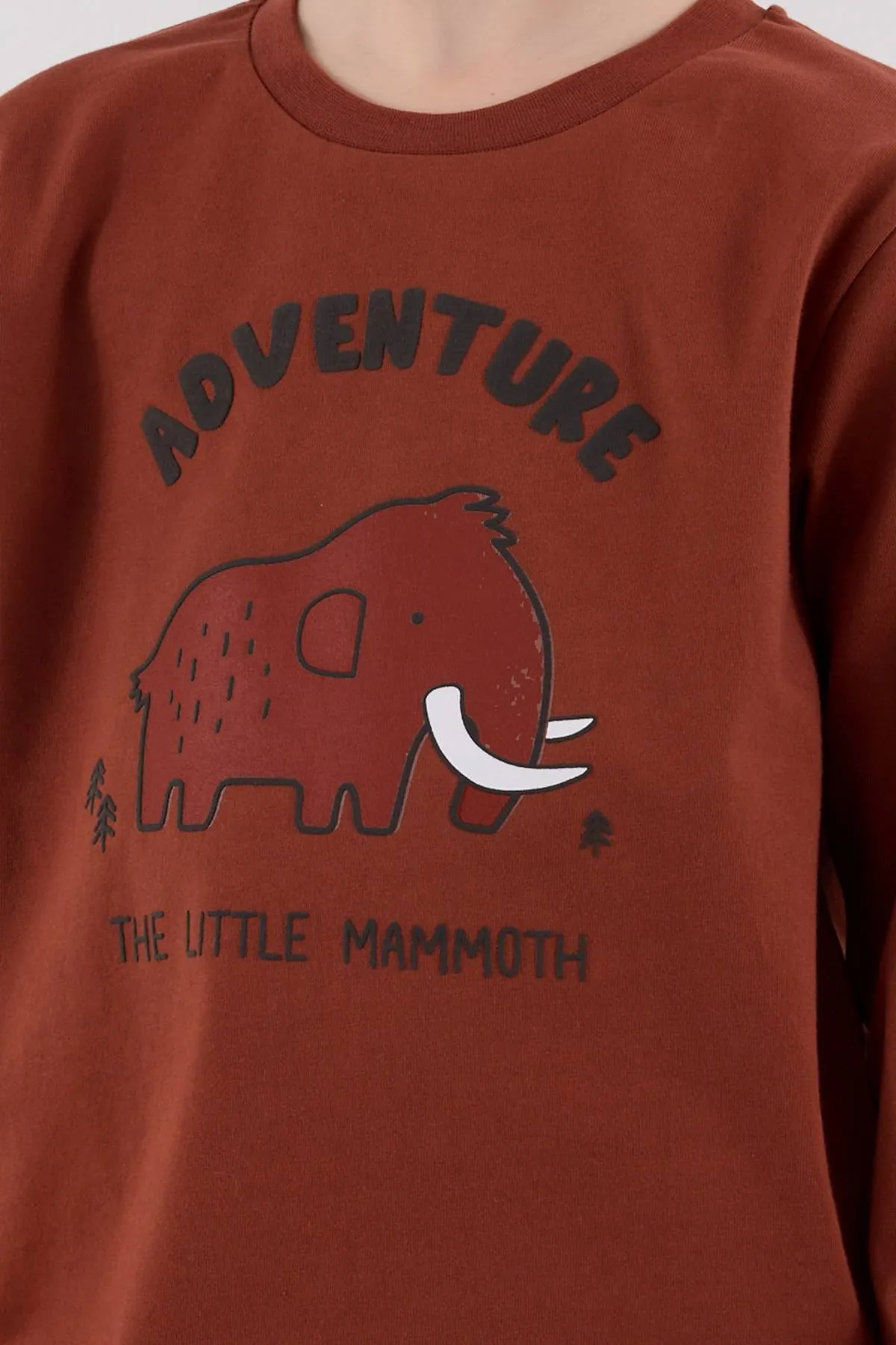 2-8 Yaş Adventure Mammoth Erkek Çocuk Takım-Kiremit