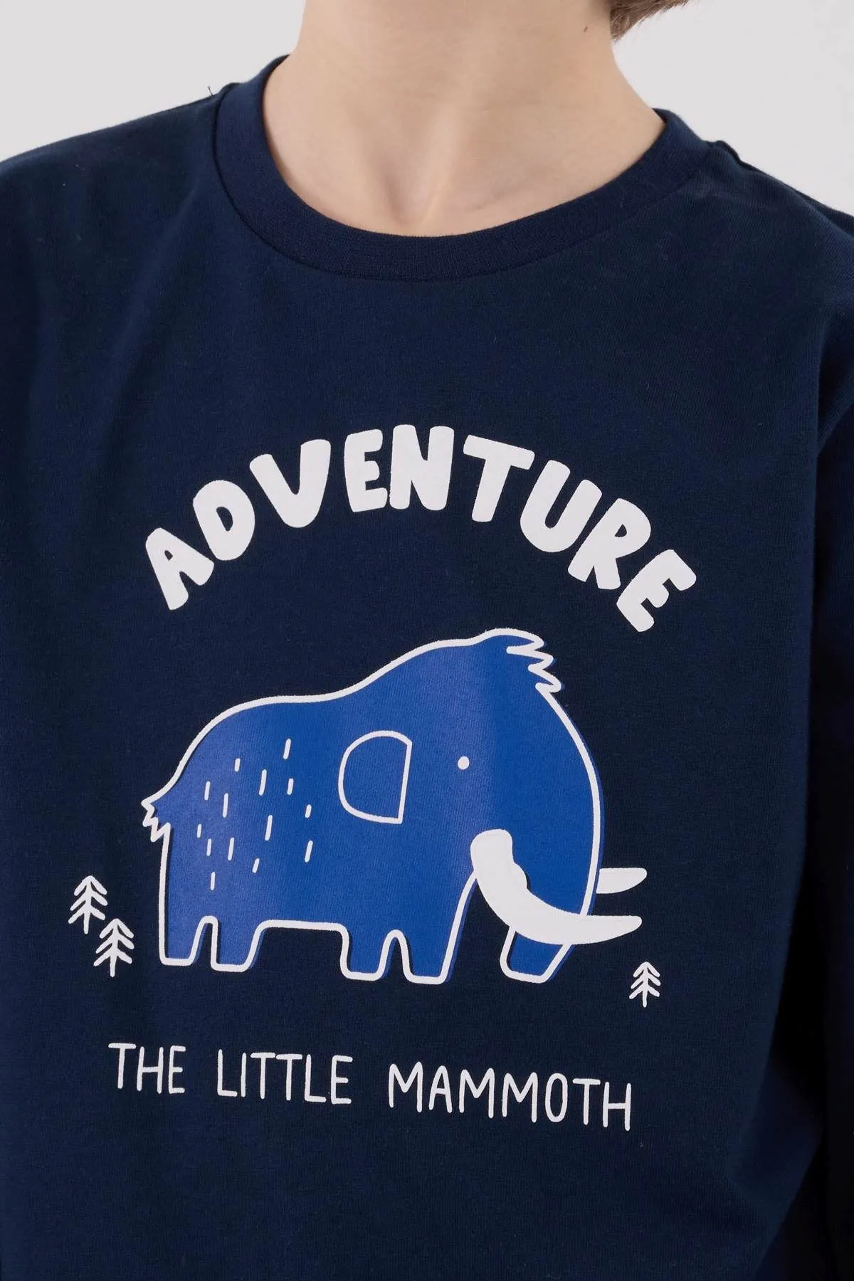 2-8 Yaş Adventure Mammoth Erkek Çocuk Takım-Lacivert