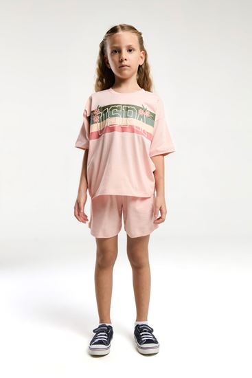 4-15 Yaş Lisanslı Us Polo ASSN Kız Çocuk Takım-Somon