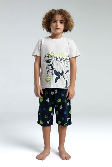 2-8 Yaş Best Team Dino Erkek Çocuk Takım-Taş