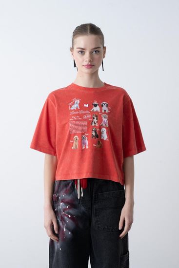 9-15 Yaş Oscar Doge Stand Kız Çocuk T-Shırt-Kırmızı