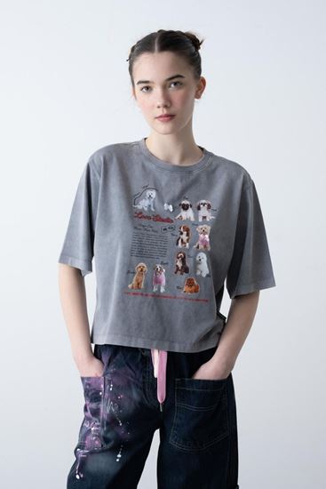 9-15 Yaş Oscar Doge Stand Kız Çocuk T-Shırt-Uzay Grisi