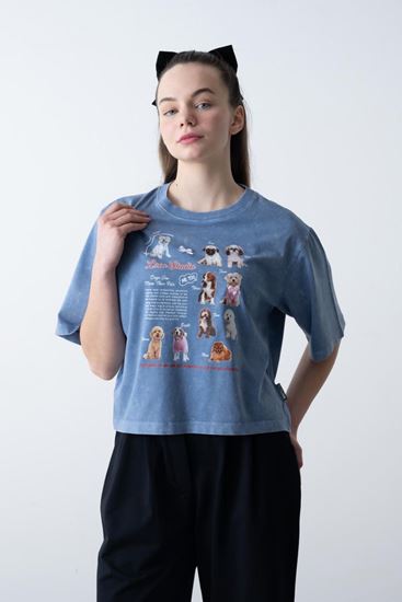 9-15 Yaş Oscar Doge Stand Kız Çocuk T-Shırt-Mavi