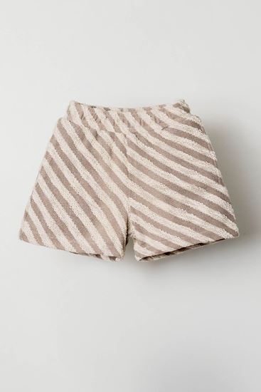 4-8 Yaş All Star Dance Kız Çocuk Şort-Uzay Grisi