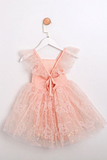 2-5 Yaş Magic Mussness Kız Çocuk Elbise-Pudra