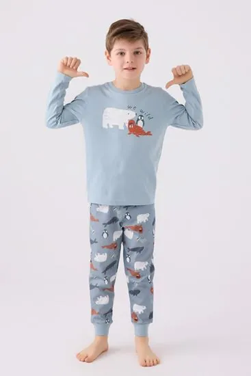 2-8 Yaş We Wild Penguen Erkek Çocuk Erkek Çocuk Takım-Bebe Mavisi
