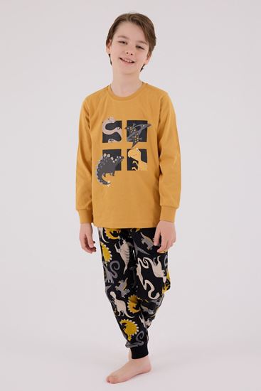 2-8 Yaş Roar Dinosour Erkek Çocuk Takım-Hardal