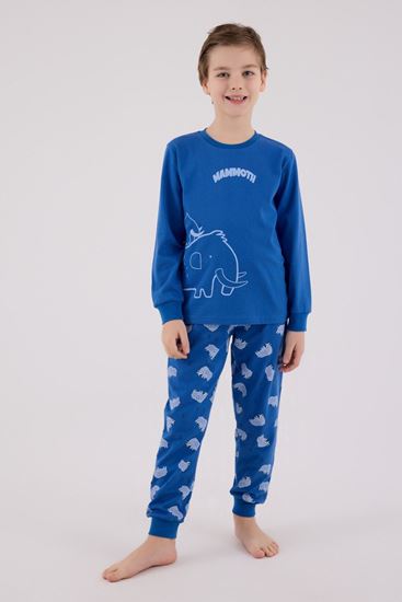 2-8 Yaş Roar Mammoth Erkek Çocuk Takım-Saks