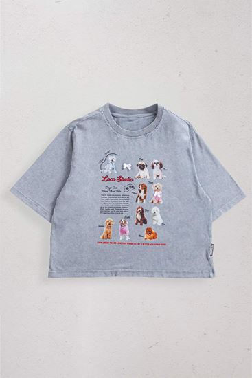 9-15 Yaş Oscar Doge Stand Kız Çocuk T-Shırt-Uzay Grisi