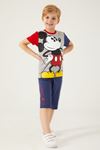 3-9 Yaş Lisanslı Mickey Mouse Erkek Çocuk Takım -Gri