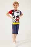 3-9 Yaş Lisanslı Mickey Mouse Erkek Çocuk Takım -Gri