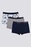 3-14 Yaş Lisanslı US POLO ASSN  Erkek Çocuk 3'Lü Boxer