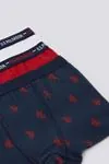 3-14 Yaş Lisanslı US POLO ASSN  Erkek Çocuk 3'Lü Boxer