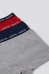 3-14 Yaş Lisanslı US POLO ASSN  Erkek Çocuk 3'Lü Boxer