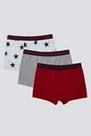 3-14 Yaş Lisanslı US POLO ASSN  Erkek Çocuk 3'Lü Boxer
