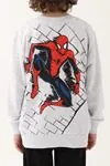 3-9 Yaş Lisanslı Spıder-Man Erkek Çocuk Takım -Gri