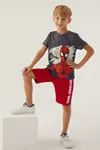 3-9 Yaş Lisanslı Spıder-Man Erkek Çocuk Takım -Füme
