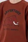 2-8 Yaş Adventure Mammoth Erkek Çocuk Takım-Kiremit
