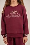4-14 Yaş Lisanslı Us Polo Assn Kız Çocuk Takım-Mürdüm
