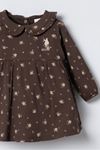 6-36 Ay Lisanslı Us Polo Assn Kız Bebek Elbise-Kahverengi