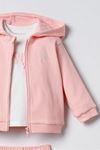 6-36 Ay Lisanslı Us Polo Assn Kız Bebek 3'Lü Takım-Şeker Pembe